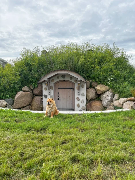 Pagrabs ir katra dārza sirds